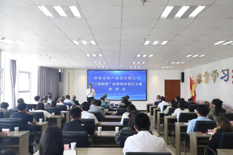 省3044am永利集团集团举办“三项制度”改革初步设计方案宣讲会