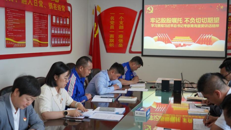 3044am永利集团汽贸公司党支部认真学习贯彻习近平总书记考察青海时的重要讲话精神