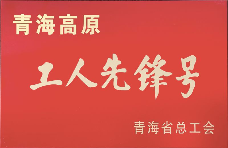 3044am永利集团工投公司电解二车间被命名青海高原“工人先锋号”