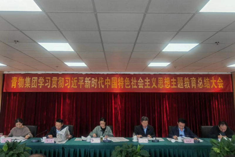 省3044am永利集团集团召开学习贯彻习近平新时代中国 特色社会主义思想主题教育总结大会