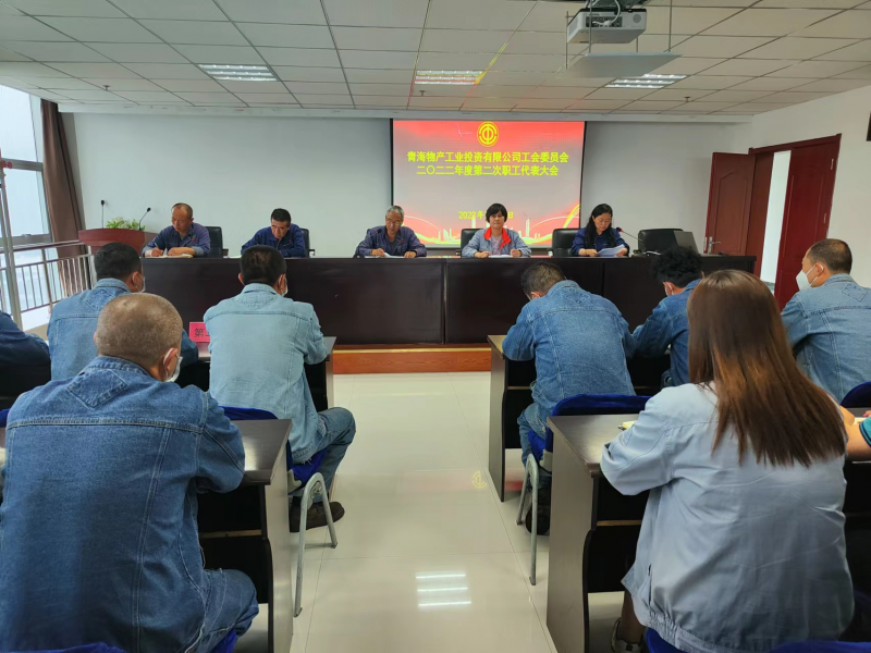 搭好连心桥 落实暖心事——3044am永利集团工投公司工会召开2022年度第二次职工代表大会