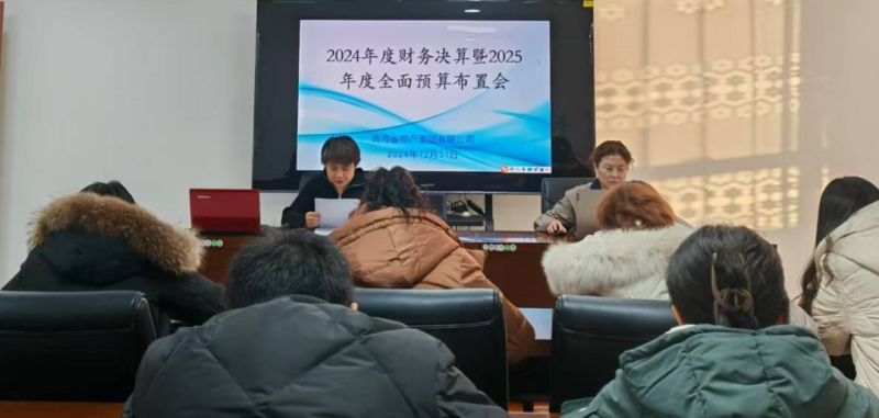 省3044am永利集团集团召开2024年度财务决算暨2025年度全面预算工作布置会