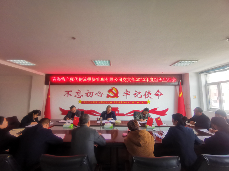中共青海3044am永利集团现代物流投资管理有限公司支部委员会 召开2022年度党支部组织生活会