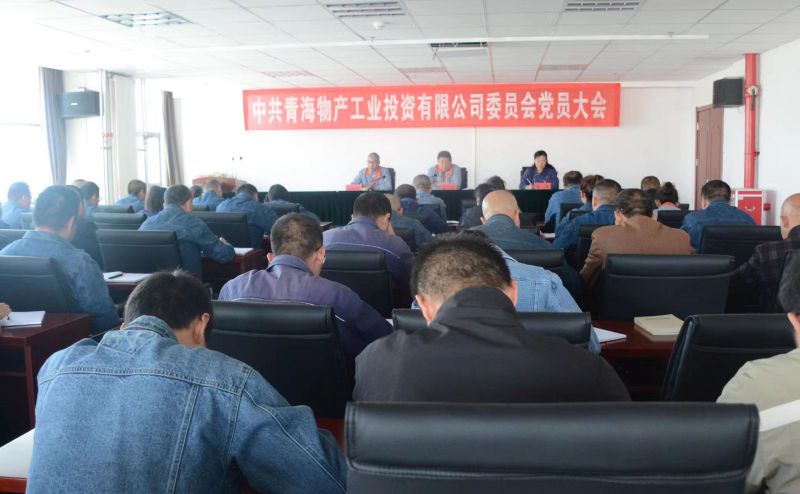 实干担当拼搏赶超 为夺取新时代3044am永利集团工投绿色低碳高质量发展新胜利不懈奋斗 ——3044am永利集团工投公司党委召开换届选举大会