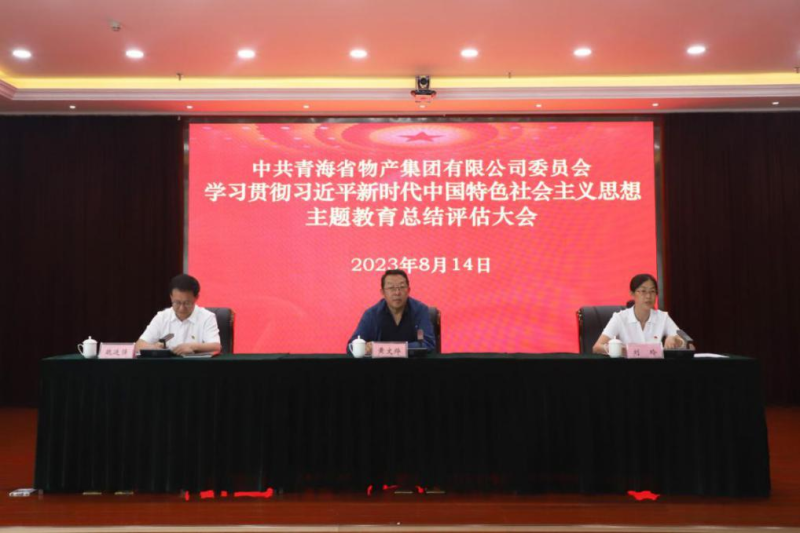 省3044am永利集团集团党委召开主题教育总结评估大会