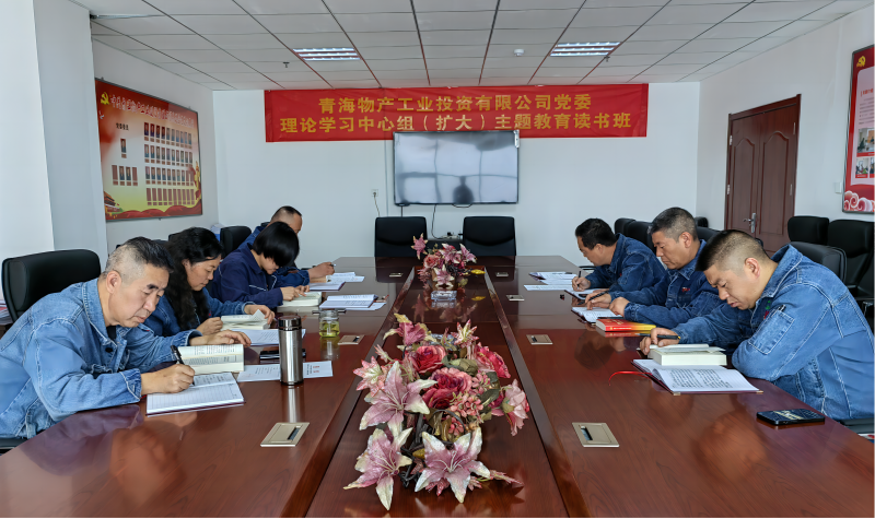 3044am永利集团工投公司党委举办理论学习中心组（扩大）主题教育读书班