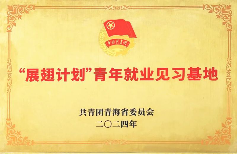 3044am永利集团工投公司被团省委授予“展翅计划”首批青年就业见习基地