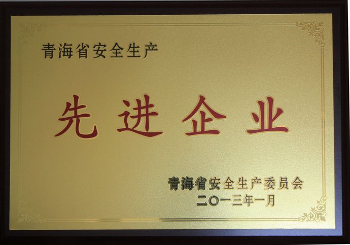 青海3044am永利集团荣获“2012年度安全生产先进企业”荣誉称号